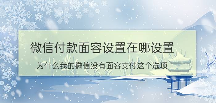 微信付款面容设置在哪设置 为什么我的微信没有面容支付这个选项？